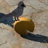 reg_546's profile picture. 趣味だらけ人間。たまにポストします。
プライベート用です。
必要あれば遠慮なく連絡ください