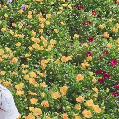 mmotonii's profile picture. シカゴPD、Antonio Dawson💗 Jon Seda 💗L&O、SVU。海外ドラマ、映画好き。PSYCHO-PASS、宜朱。無言フォローすみません🙇‍♀️自分が好きな物を好きなままに発言するアカウント。