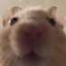 Andrew (@_nsfwandrew_) Twitter profile photo Andrew (@_nsfwandrew_) Twitter profile photo