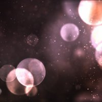 Jamil O'Keefe (@jamilkeefe46761) 's Twitter Profile