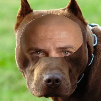 Kasper Kullman (@kullmancs) 's Twitter Profile Photo Kasper Kullman (@kullmancs) 's Twitter Profile Photo