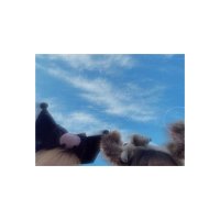 ✎りこりす (@lycoris_035) Twitter profile photo