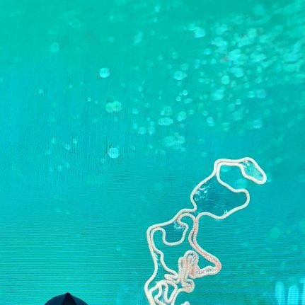 bazzkom's profile picture. followback dong sheyeng