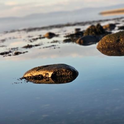 Ian__Cooke's profile picture. 