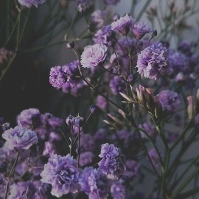 ShreyaBora30's profile picture. Med student