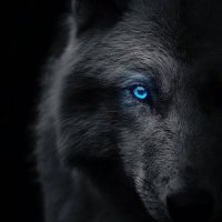Wolfgang (@onyangoayoki_) 's Twitter Profile