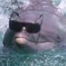oris (@themindoforis) Twitter profile photo oris (@themindoforis) Twitter profile photo