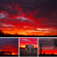 Sandra Smith (@sandradeuk) 's Twitter Profile Photo