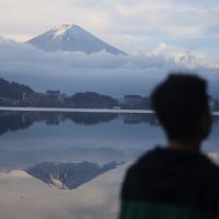 ZoloDom (@mastertzn) 's Twitter Profile