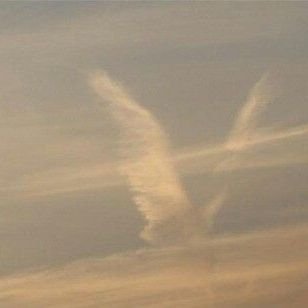 Diabelx_x's profile picture. Artist (not really), 
Singer (can't sing), 
Loser (absolutely),