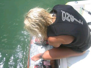 kylienicole22's profile picture. 