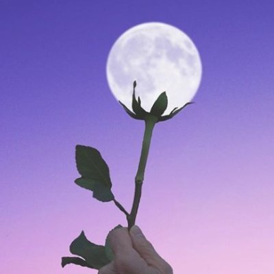 socoooI's profile picture. 