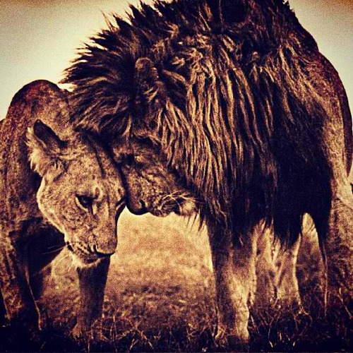 M6fullyloaded's profile picture. 