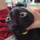 Ewan David - @EwanDavid22 - Twitter