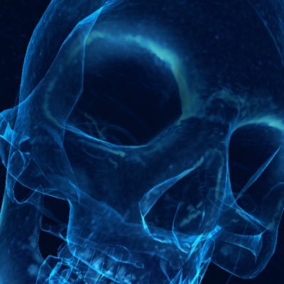 brr_brr_deng's profile picture. Free Speech Advocate. Believer in the Republic. 🇺🇸 Metalhead 🤘🏻