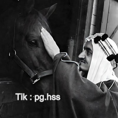 s3hahdsr's profile picture. 