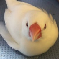 さ。 (@w5owpqqwyfomvss) 's Twitter Profile Photo さ。 (@w5owpqqwyfomvss) 's Twitter Profile Photo