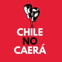 Chile no Caerá! 🥊(@chilenocaera_) 's Twitter Profile Photo
