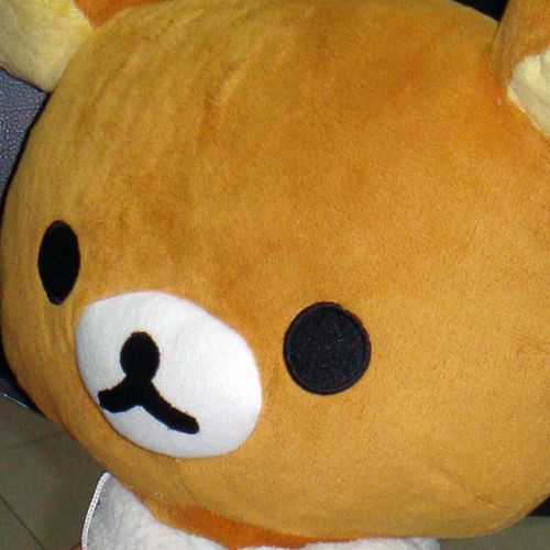 carein1's profile picture. website vision designer in China ,who is ridiculously crazy about relax kuma