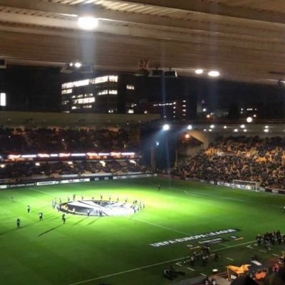 Tess_wwfc's profile picture. WWFC 🐺