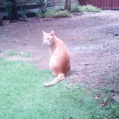 Nievexingua's profile picture. Usuaria