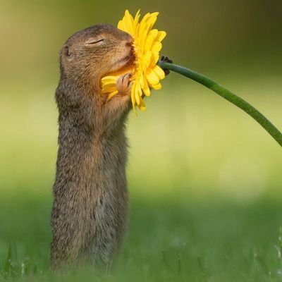 emmanuel_bako's profile picture. Music lover || Knowledge-seeker