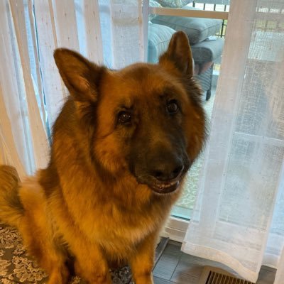 graacedrev's profile picture. 