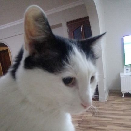 chucky343434's profile picture. Önemli olan uzun yaşamak değil,mutlu yaşamaktır.