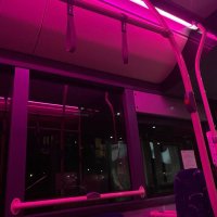 :3 (@mushyarchive) 's Twitter Profile