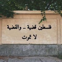 نرمونه 🕊️ (@nerr3_) 's Twitter Profile