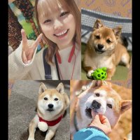 結喜🐶✨🐶 (@yukikuma07151) 's Twitter Profile Photo 結喜🐶✨🐶 (@yukikuma07151) 's Twitter Profile Photo