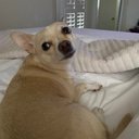 Kathy Crow - @crow745655 - Twitter