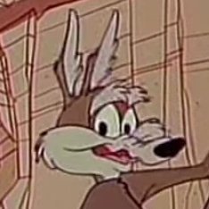 Hey I'm Wile E. Coyote, You Can Call Me Christopher Bellamy By My Real Name, I'm Also Not Affiliated With Both Looney Tunes and Warner Bros. And I Live In SC.