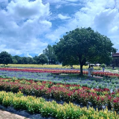 DoiTetsu234's profile picture. 