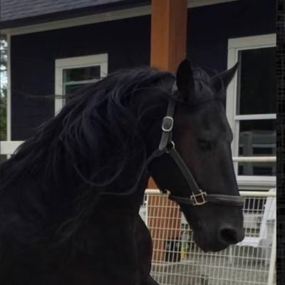 WdRwqg6460's profile picture. 