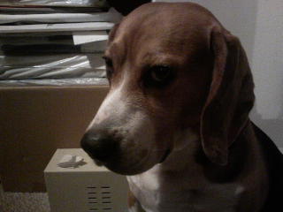 _H___H_'s profile picture. ¯\_(ツ)_/¯