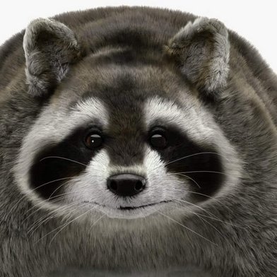 pesukarrhu's profile picture. Monikulttuurisuusasiantuntija
🇫🇮