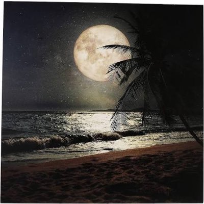 A1H66's profile picture. 