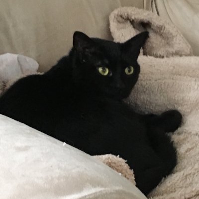 Smcny's profile picture. Bewitched by Wine!!! Sharron is a wine industry legend, past president and director emeritus of the Society of Wine Educators.