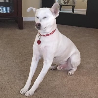 MinkYxoxx's profile picture. 