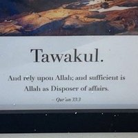 ❣Olan-Shile⚘ (@the_shittuad) 's Twitter Profile
