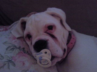 spoek7's profile picture. Nieuwsgierig???????