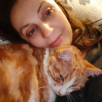 Lara☀️🐈🐓🐞 (@lara377656551) 's Twitter Profile