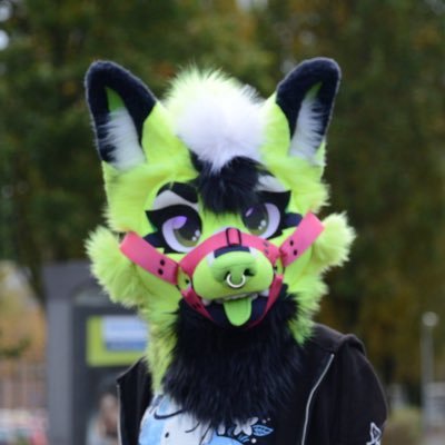 🇳🇱 Lumin! Non-binary 💚 Playful, shy, and adventurous fox with a dreamy imagination! ADHD / Social Anxiety squad, I'm coming! 🪡: urs_workshop