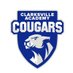 Clarksville Academy FB (@ca_cougarsfb) Twitter profile photo