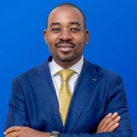 @nelsonchamisa (Bulawayo)(@bulawayoblue) 's Twitter Profile Photo