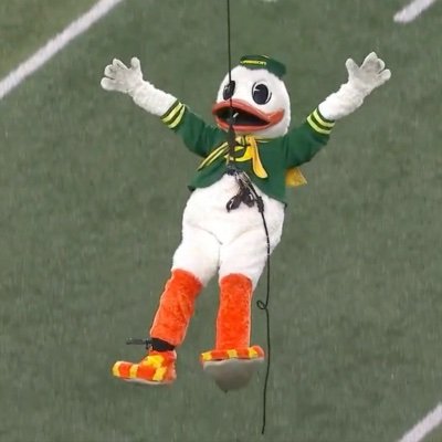 Just your average Duck fan. Go Ducks!