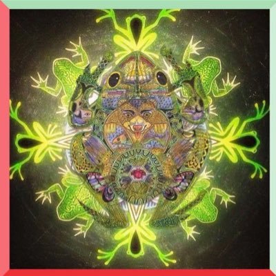 toadmedicine69's profile picture. 