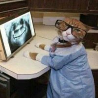 Dr. Gato(@Gato544960) 's Twitter Profile Photo