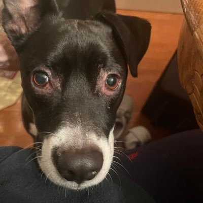 martin_pleb's profile picture. Humanist seeking veritas and growth in world